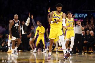 仅展示了 仅展示了